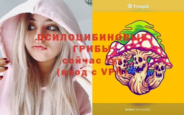 синтетический гашиш Горно-Алтайск
