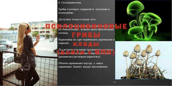 jwh Вяземский