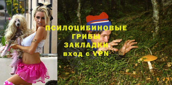 apvp Горнозаводск