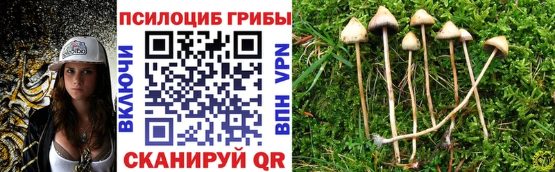 Галлюциногенные грибы прущие грибы  закладки  Северодвинск 