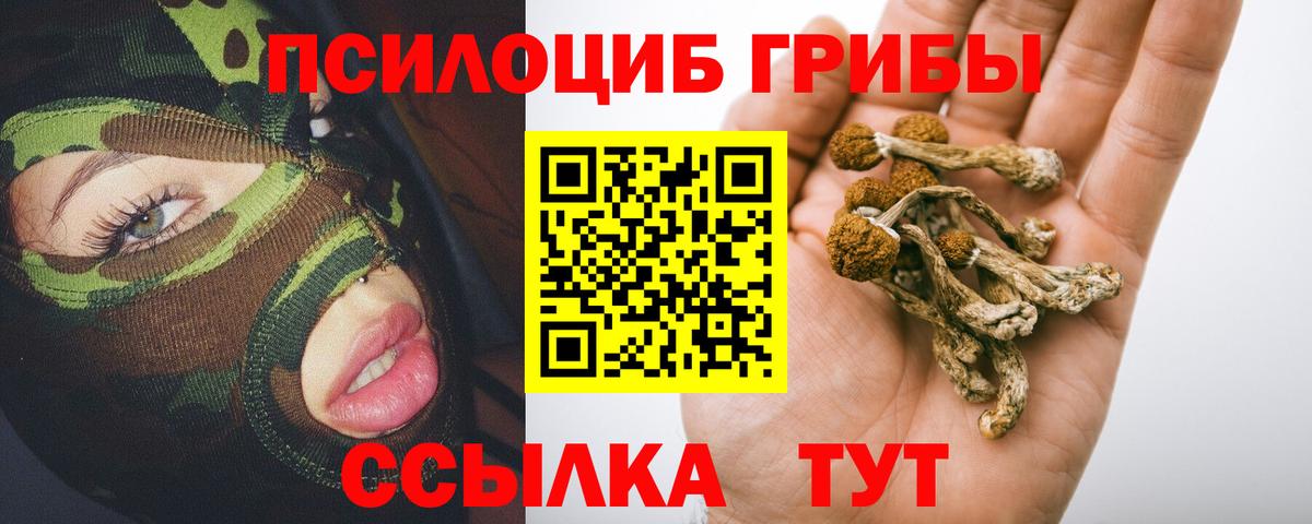 Галлюциногенные грибы мухоморы  Вход с VPN  Северодвинск 